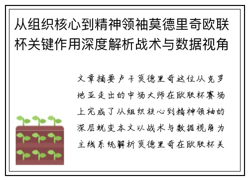从组织核心到精神领袖莫德里奇欧联杯关键作用深度解析战术与数据视角 从组织核心到精神领袖莫德里奇欧联杯关键作用深度解析战术与数据视角